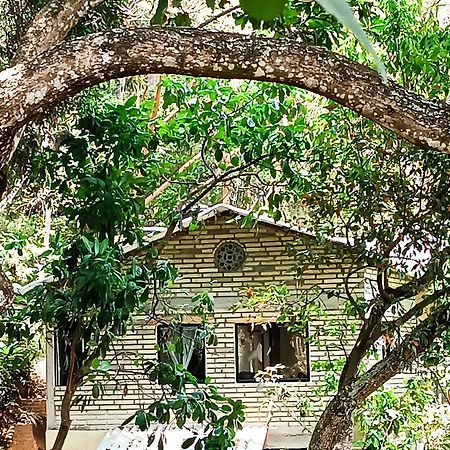 Eden Los Abuelos 2 - Casa Privada En Minca Nature ภายนอก รูปภาพ
