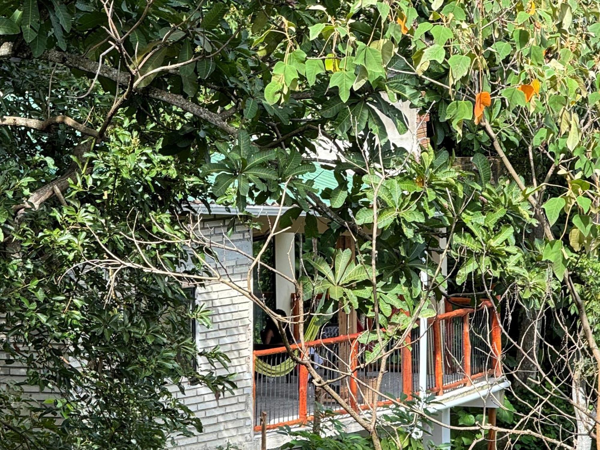 Eden Los Abuelos 2 - Casa Privada En Minca Nature ภายนอก รูปภาพ